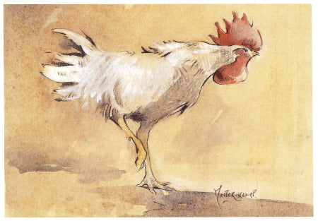 Cockerel