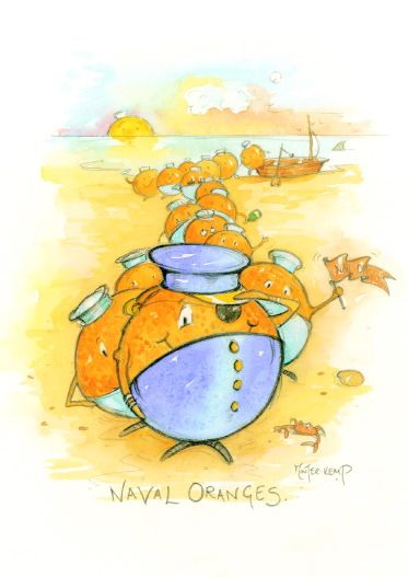 Naval Oranges