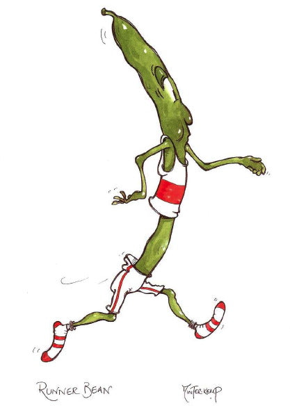 Runner Bean