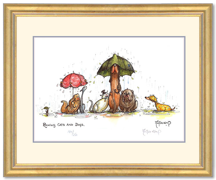 Raining Cats and Dogs