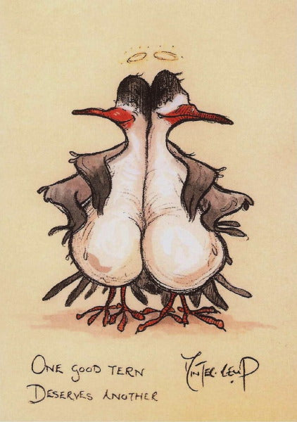 One Good Tern Deserves Another