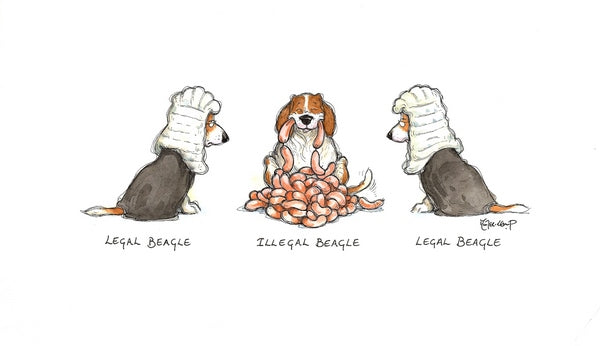Legal Beagle