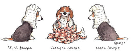 Legal Beagle