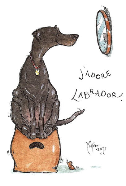 J'Adore Labrador